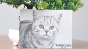 Grayscale laser printing of an adult cat