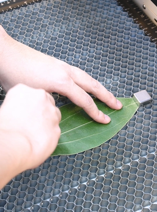 laser engraving leaf ornament 3