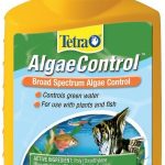 algae control